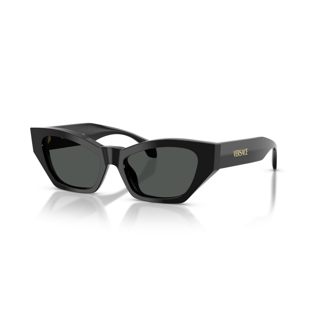 Versace Women's Large Sunglasses, VE4488U