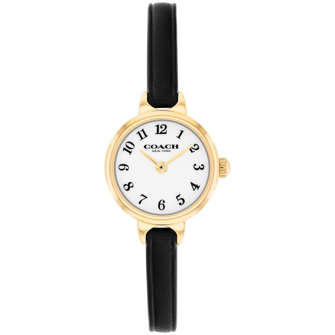 Coach Women's Iris Black Leather Strap Watch, 22.5mm