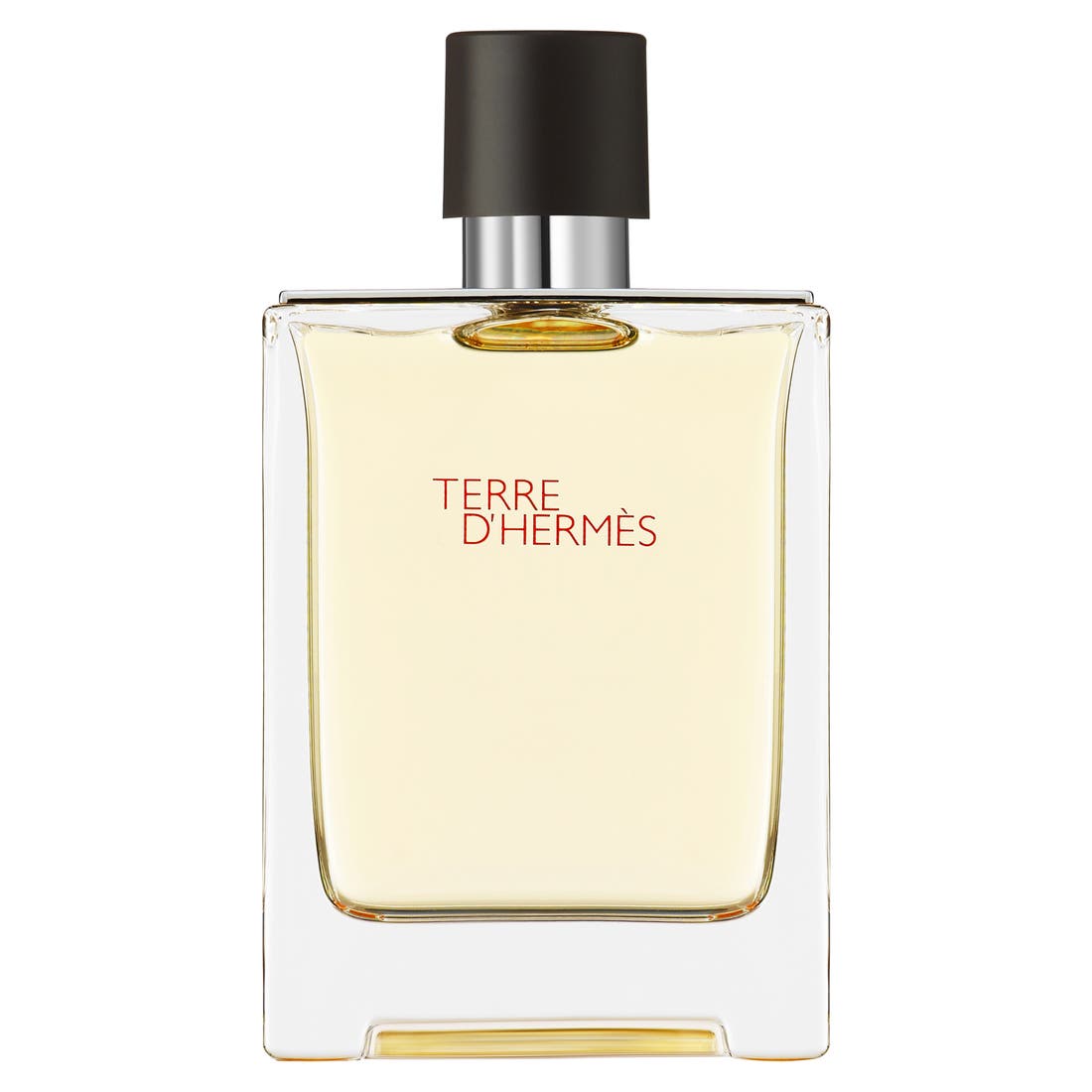 Hermès Terre d'Hermès - Eau de Toilette