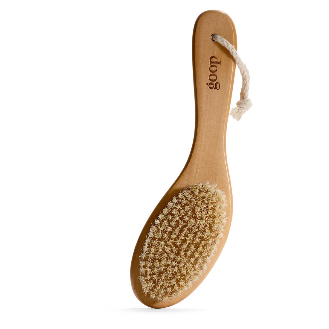 Goop Ultimate Dry Brush