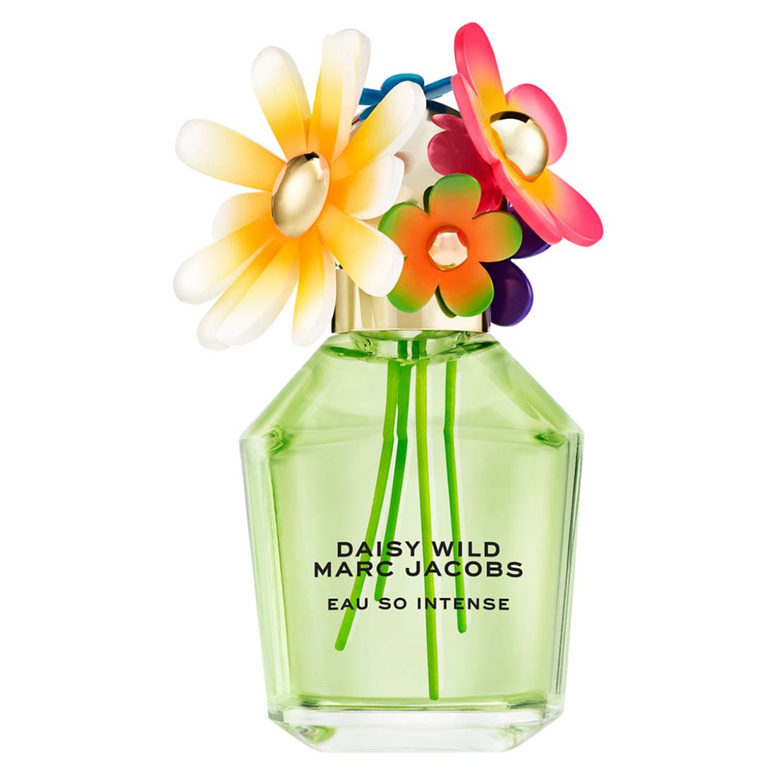Marc Jacobs Daisy Wild Eau So Intense Eau de Parfum