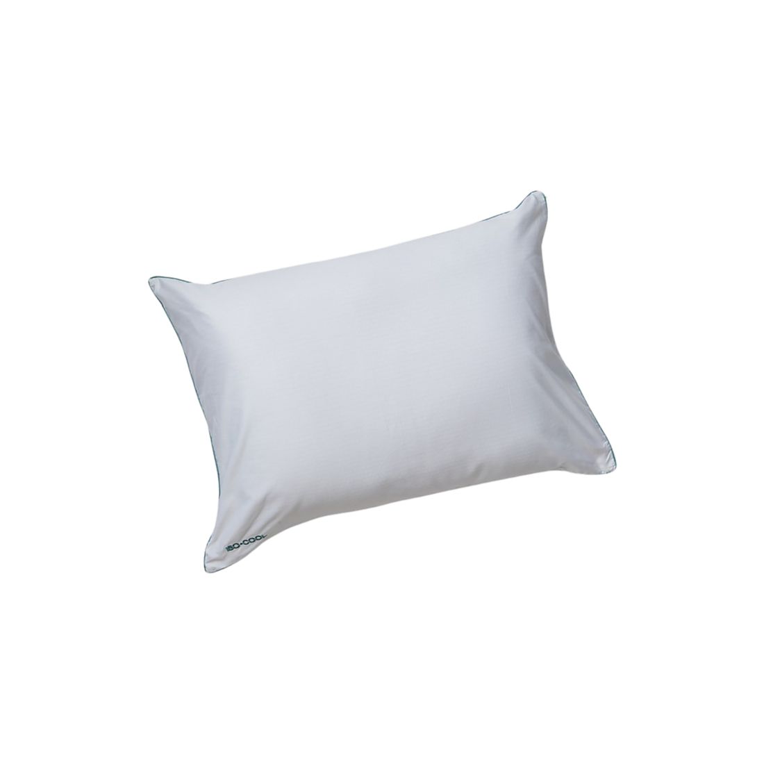 Carpenter ISOCOOL Polyester Bed Pillows