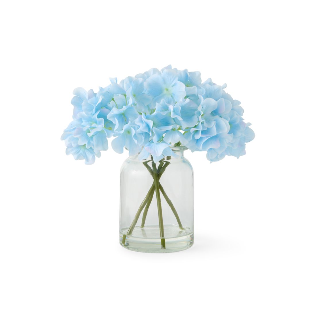 Crown & Ivy Hydrangea Sitabout