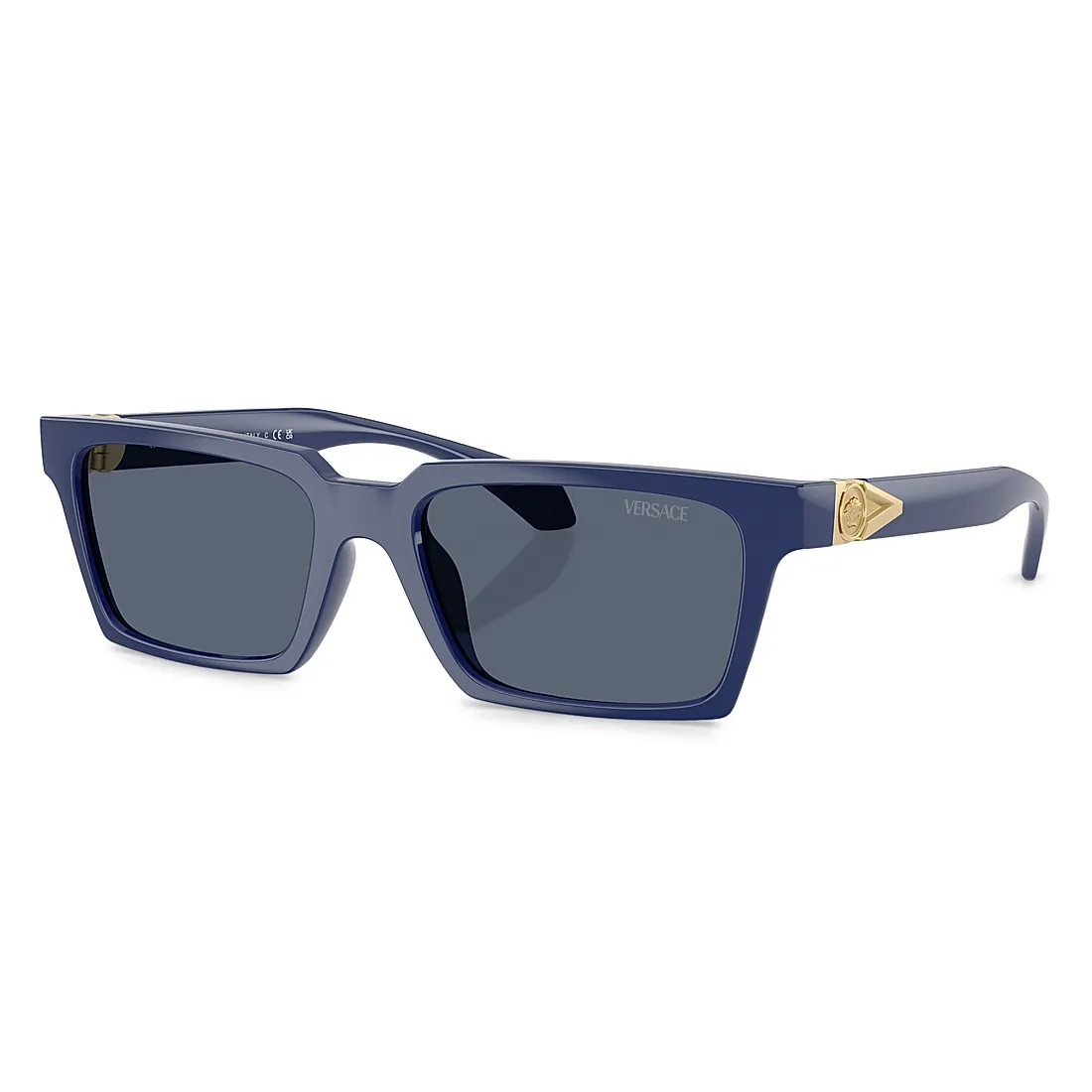 Versace 55MM Rectangular Sunglasses