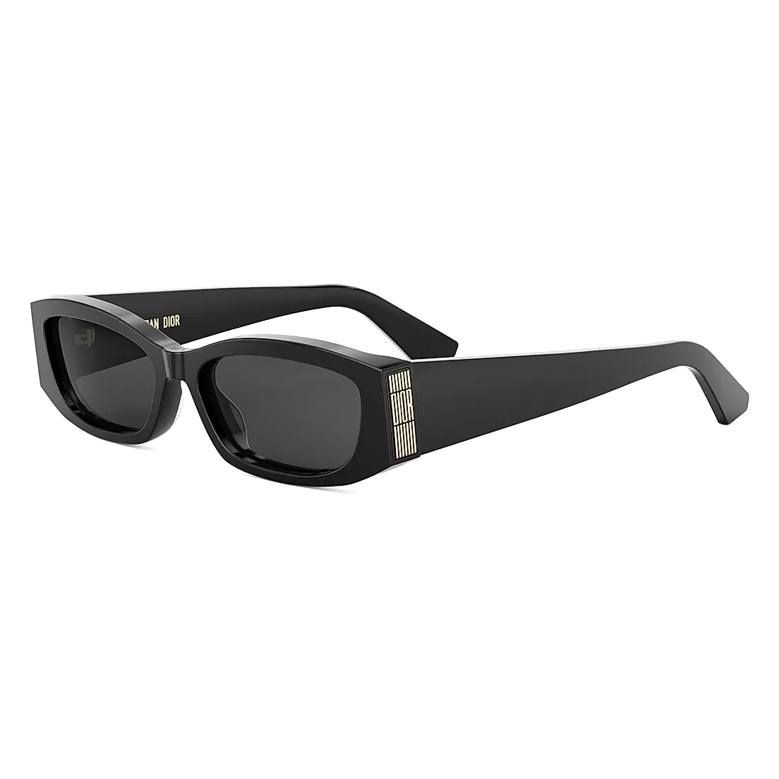Dior DiorGraphique S1I 56MM Rectangular Sunglasses